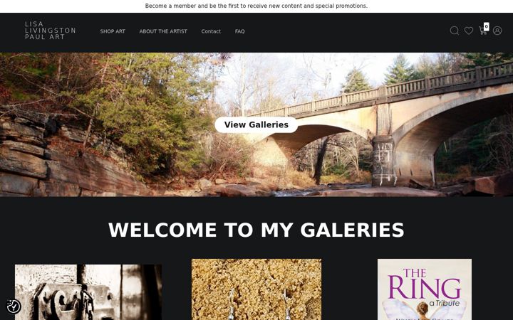 Screenshot of lisalivingstonpaul.com