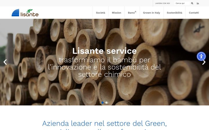 Captura de ecrã de lisanteservice.com