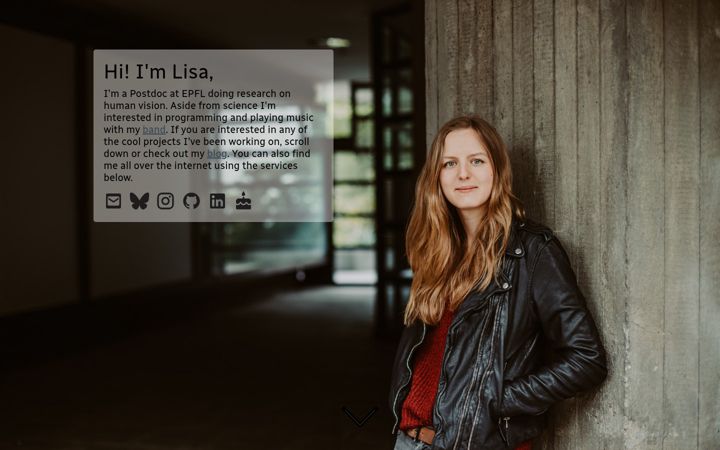 Screenshot of lisaschwetlick.de