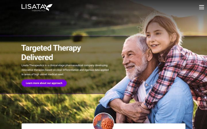 Screenshot of lisata.com