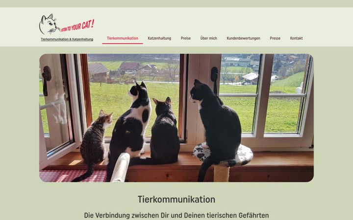 Screenshot of listentoyourcat.ch