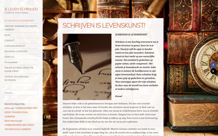Screenshot of lisvandergeer.com