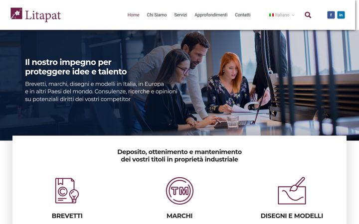 Captură de ecran a litapat.com