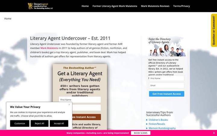 Screenshot of literaryagentny.com