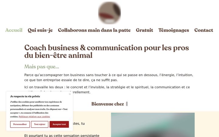 Screenshot of lithaka.com