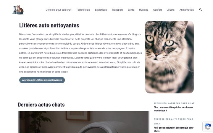 Screenshot of litiereautonettoyante.com