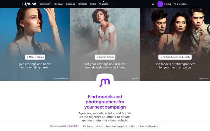 Screenshot of litmind.com