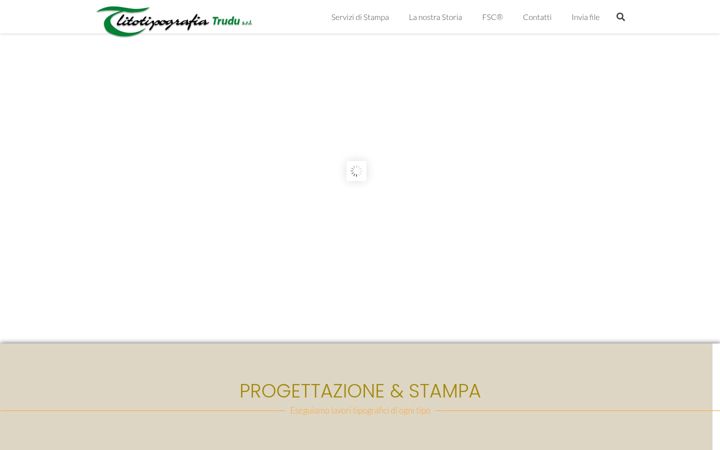 Screenshot of litotipografiatrudu.com