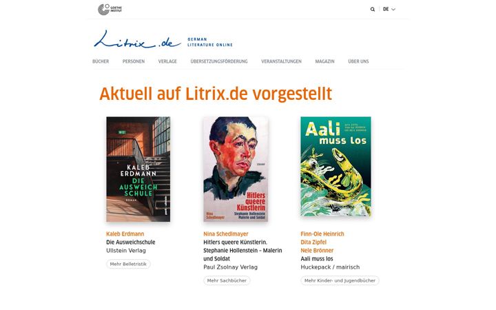 Screenshot of litrix.de