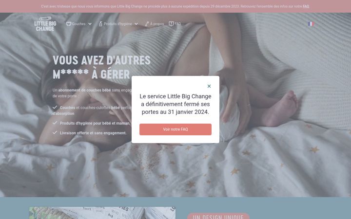 Screenshot of little-big-change.com
