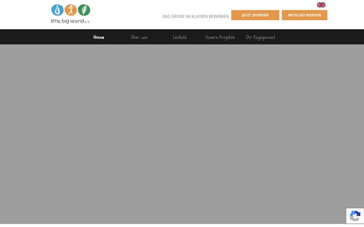 Screenshot of little-big-world.org