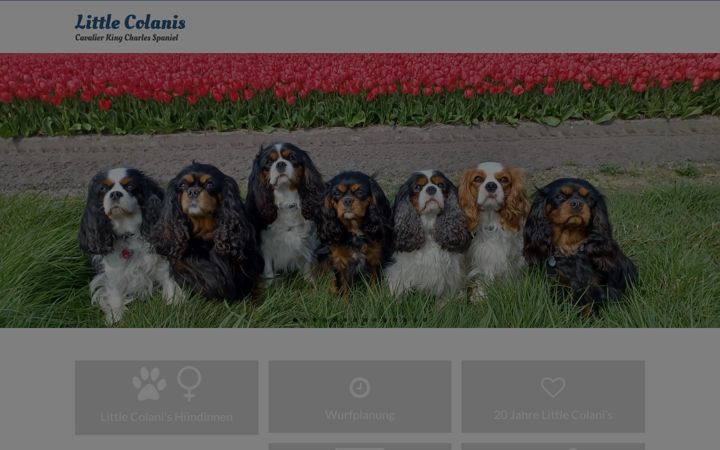 Screenshot of little-colanis.de