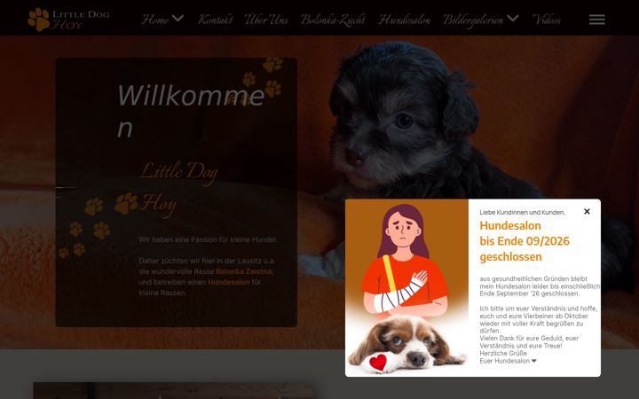 Screenshot of little-dog-hoy.de