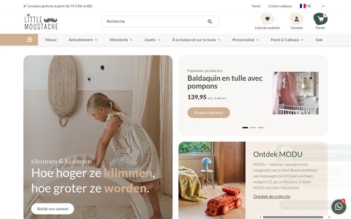 Screenshot of little-moustache.fr