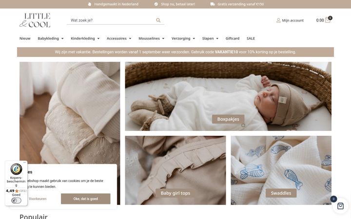 Screenshot of littleandcool.nl