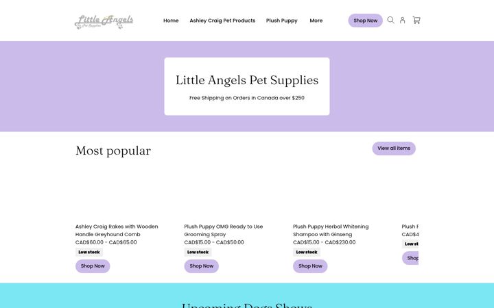 Screenshot of littleangelsonline.ca