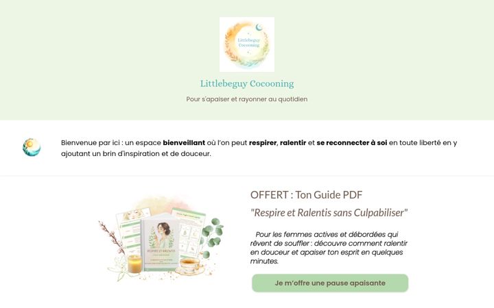 Screenshot of littlebeguycocooning.com