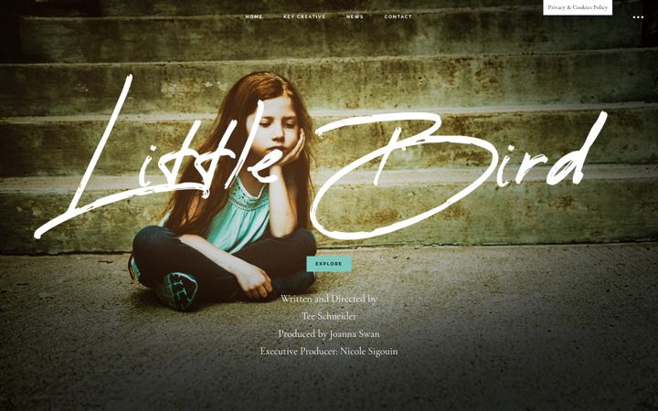 Screenshot of littlebirdmovie.com