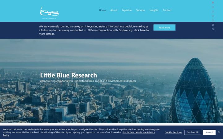 Screenshot of littleblueresearch.com