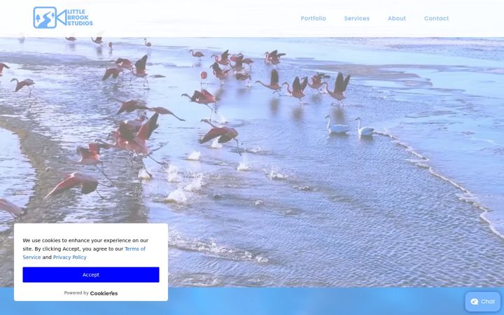 Screenshot of littlebrookstudios.com