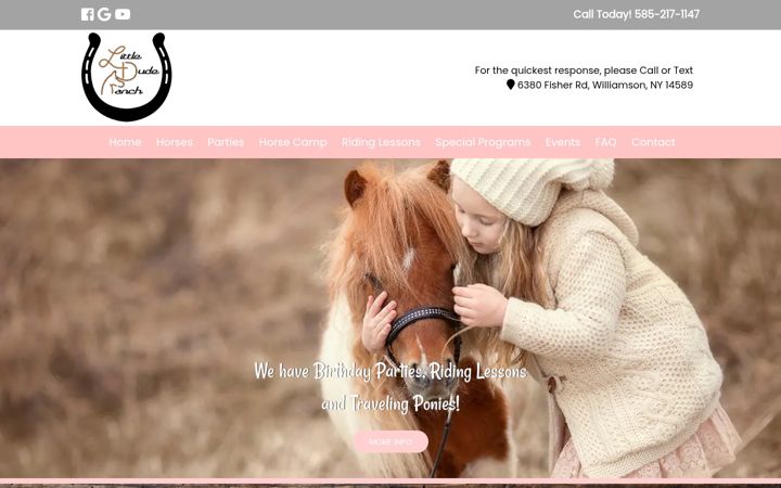 Screenshot of littleduderanch.com