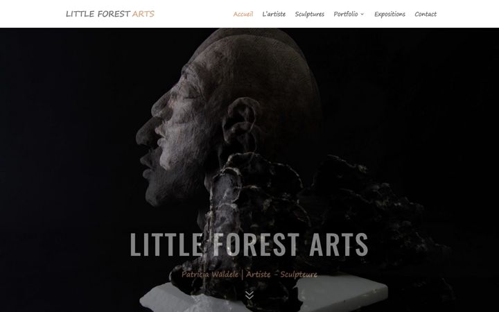 Screenshot of littleforest-arts.com