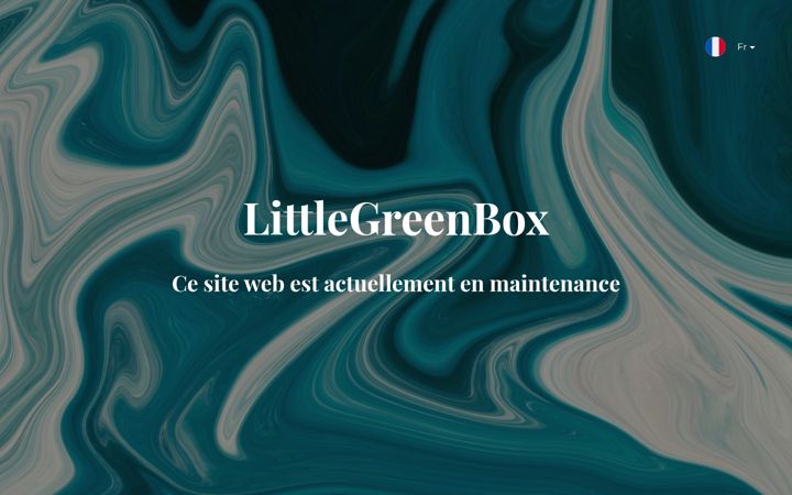 Screenshot of littlegreenbox.be