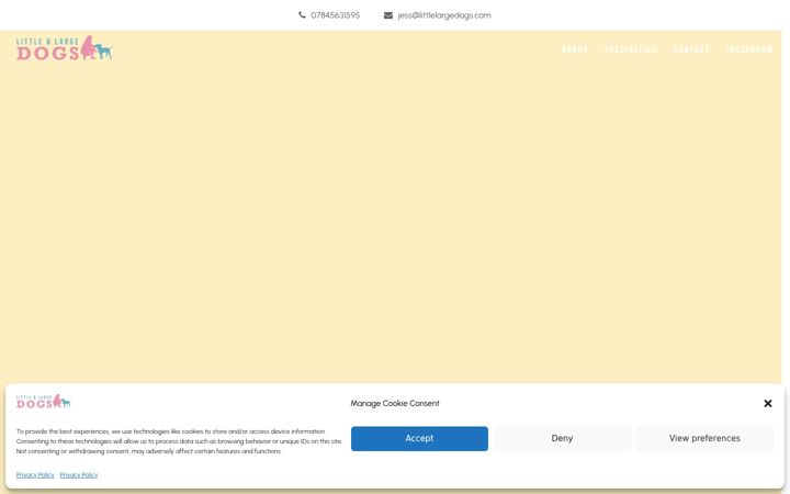 Screenshot of littlelargedogs.com