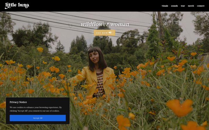 Screenshot of littlelunamusic.com