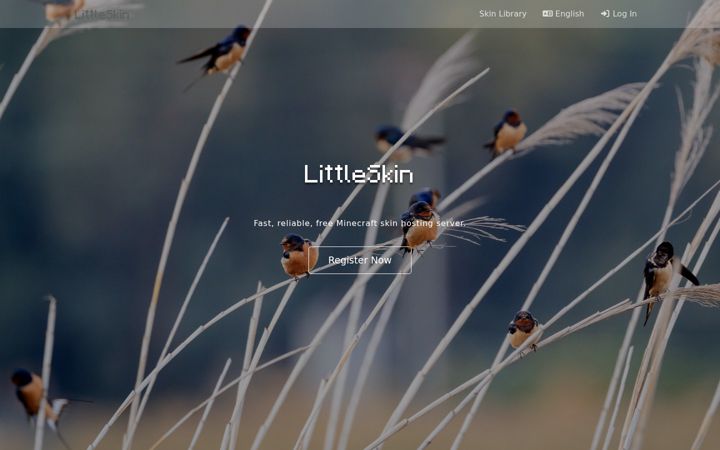 Screenshot of littleskin.cn