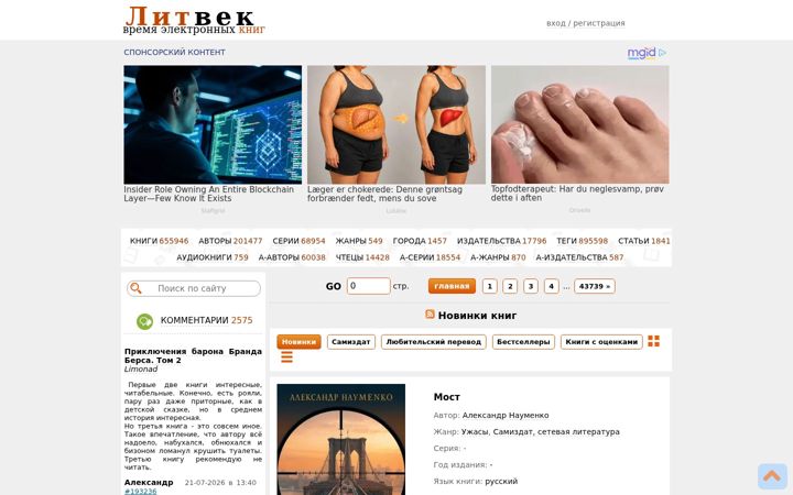 Screenshot of litvek.com