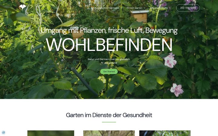 Screenshot of live-healthy.eu