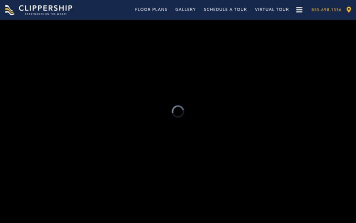 Screenshot of liveclippership.com