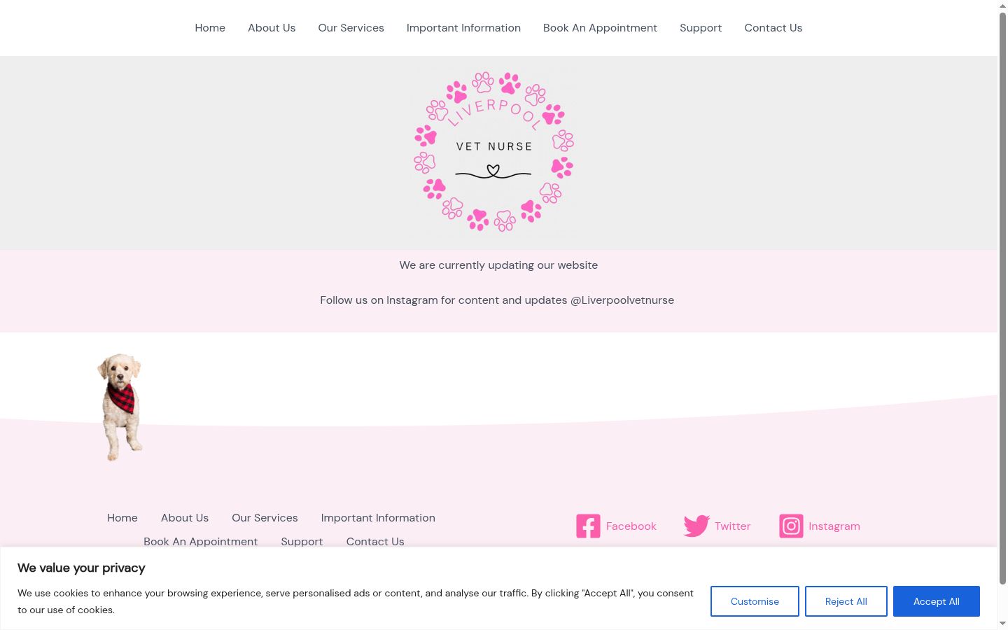 Captura de ecrã do banner de consentimento apresentado antes de qualquer interação