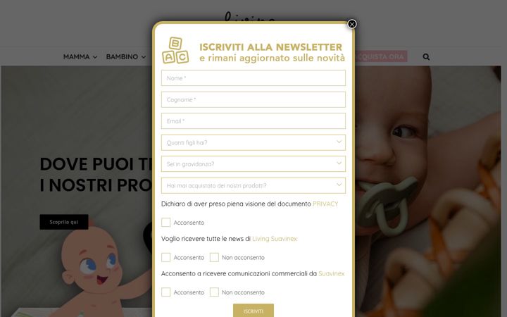 Screenshot of livingsuavinex.it