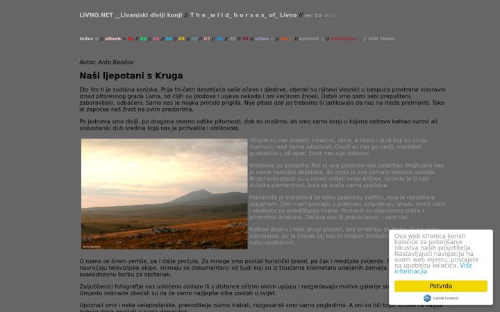 Screenshot of livno.net