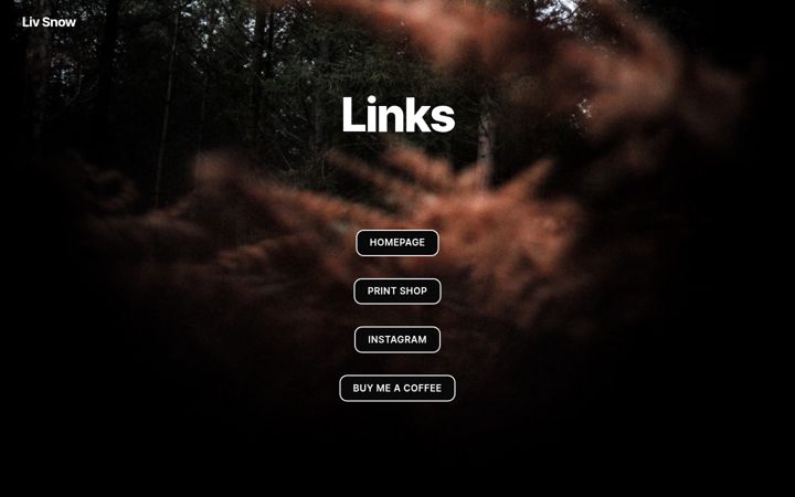Screenshot of livsnow.de
