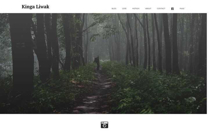 Screenshot of liwak.pl