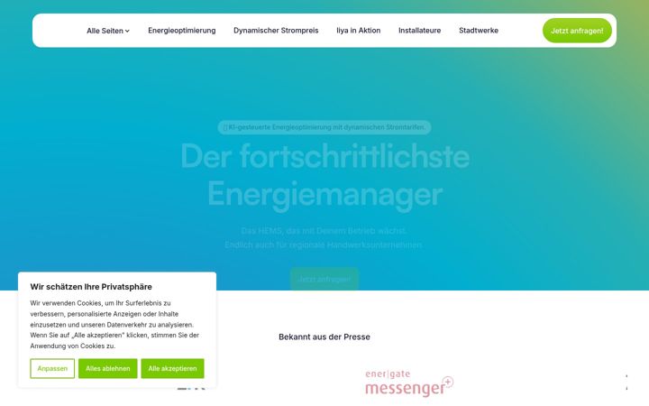Screenshot of liya-energiemanager.de