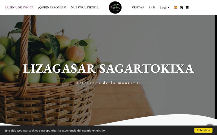 Screenshot of lizagasar.com