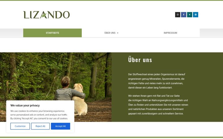 Screenshot of lizando-gmbh.de