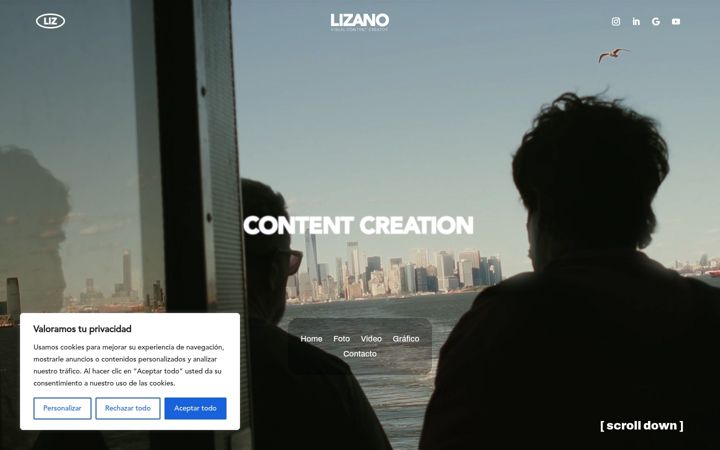 Screenshot of lizanovisual.com