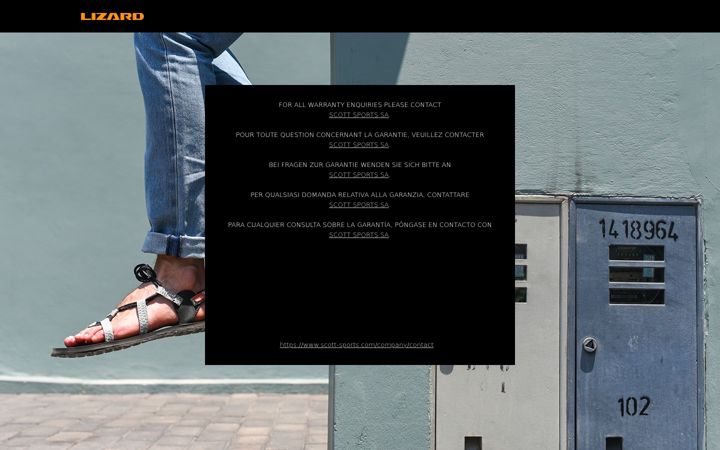 Screenshot of lizardfootwear.com