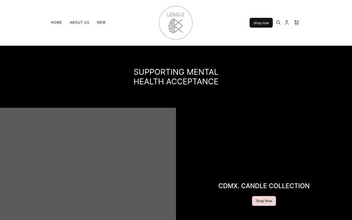 Screenshot of lizinguz.com