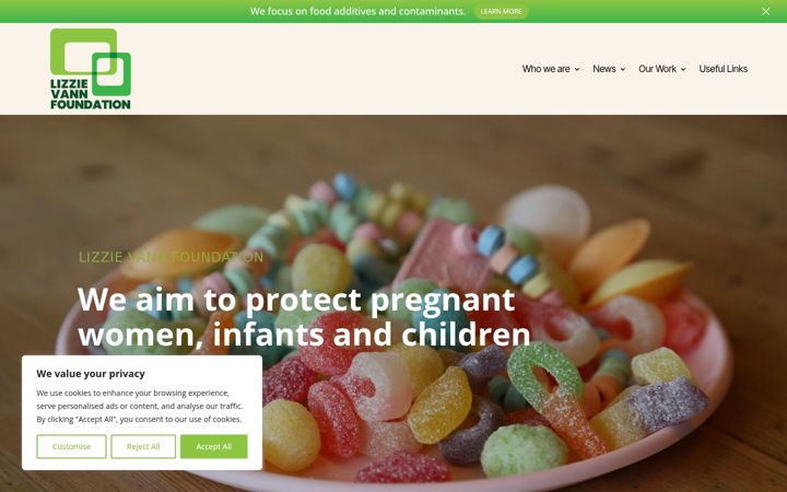 Screenshot of lizzievannfoundation.org