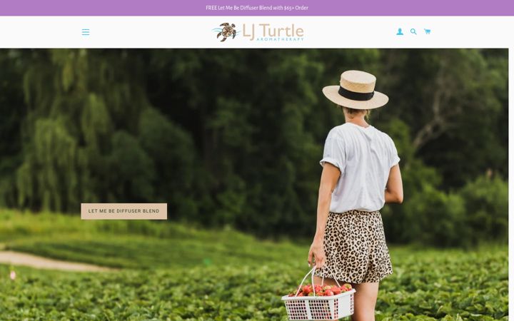 Screenshot of ljturtle.com