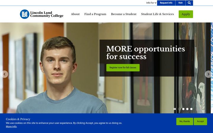 Screenshot di llcc.edu