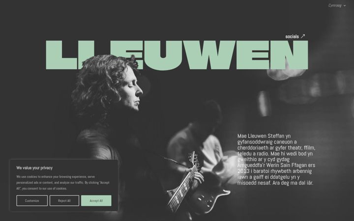 Screenshot of lleuwen.net