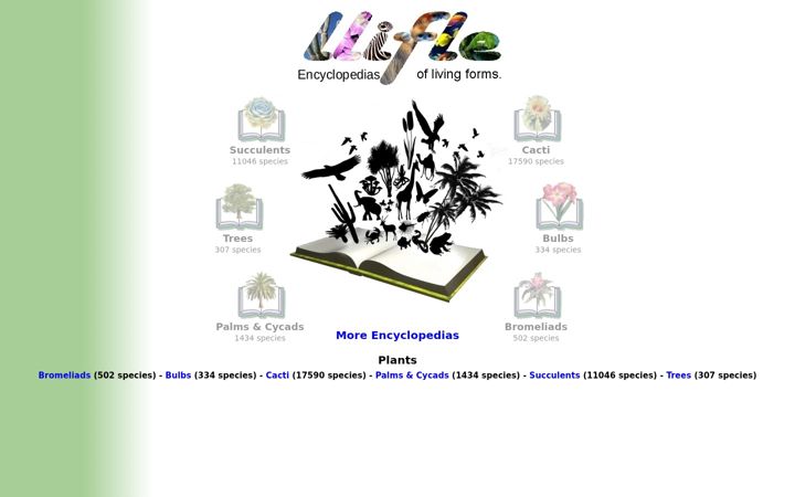 Screenshot of llifle.com