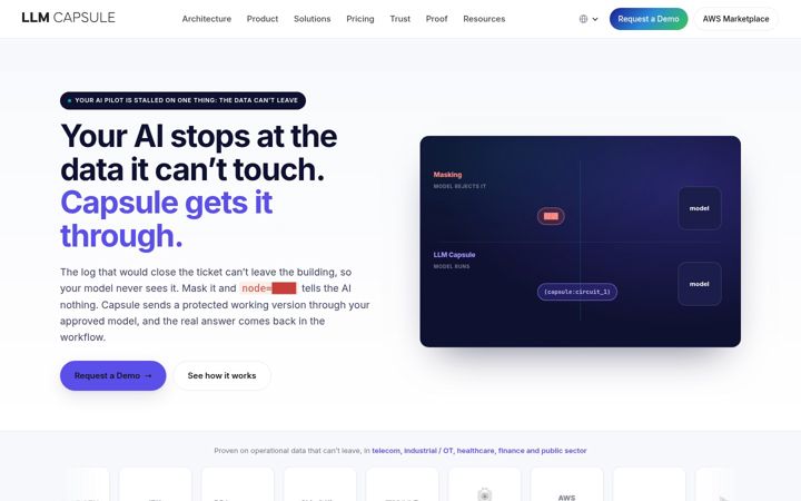llmcapsule.ai